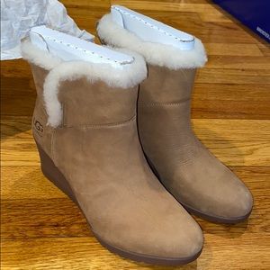 Brand new Women’s UGG boots